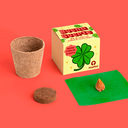 Kit autocultivo - Buena Suerte 🍀