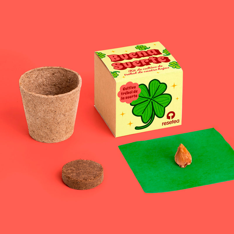 Kit autocultivo - Buena Suerte 🍀