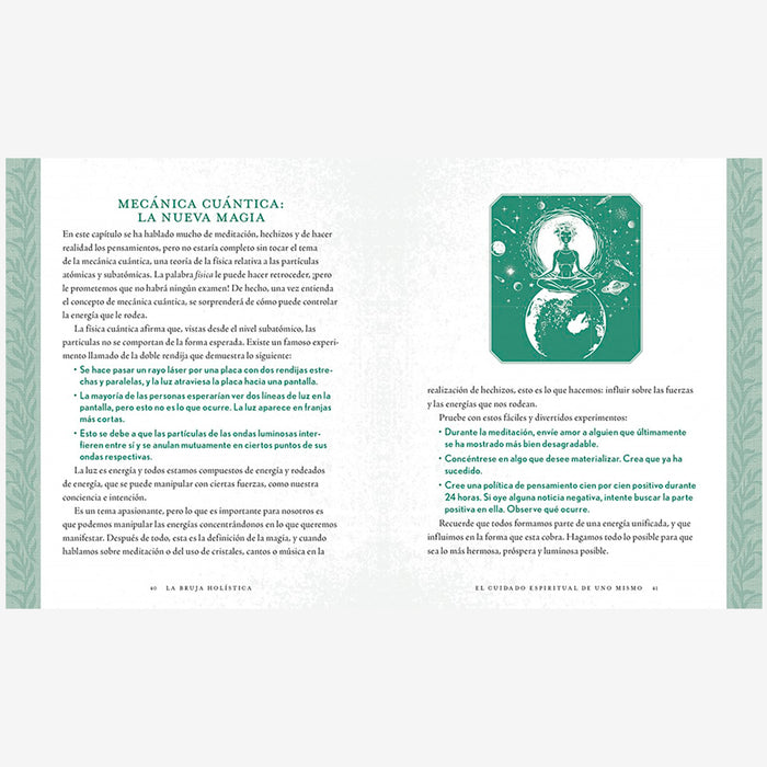 Libro - "La bruja holística" de Shawn Robbins y Leanna Greenaway