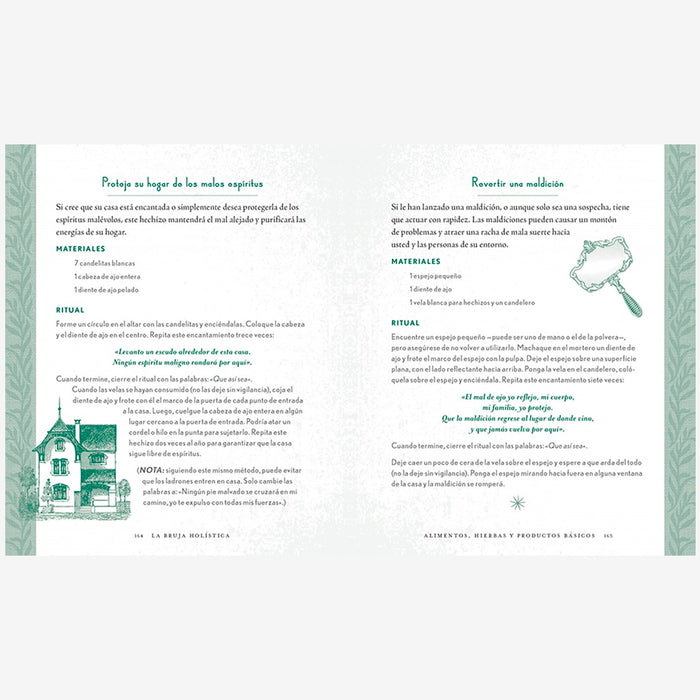 Libro - "La bruja holística" de Shawn Robbins y Leanna Greenaway