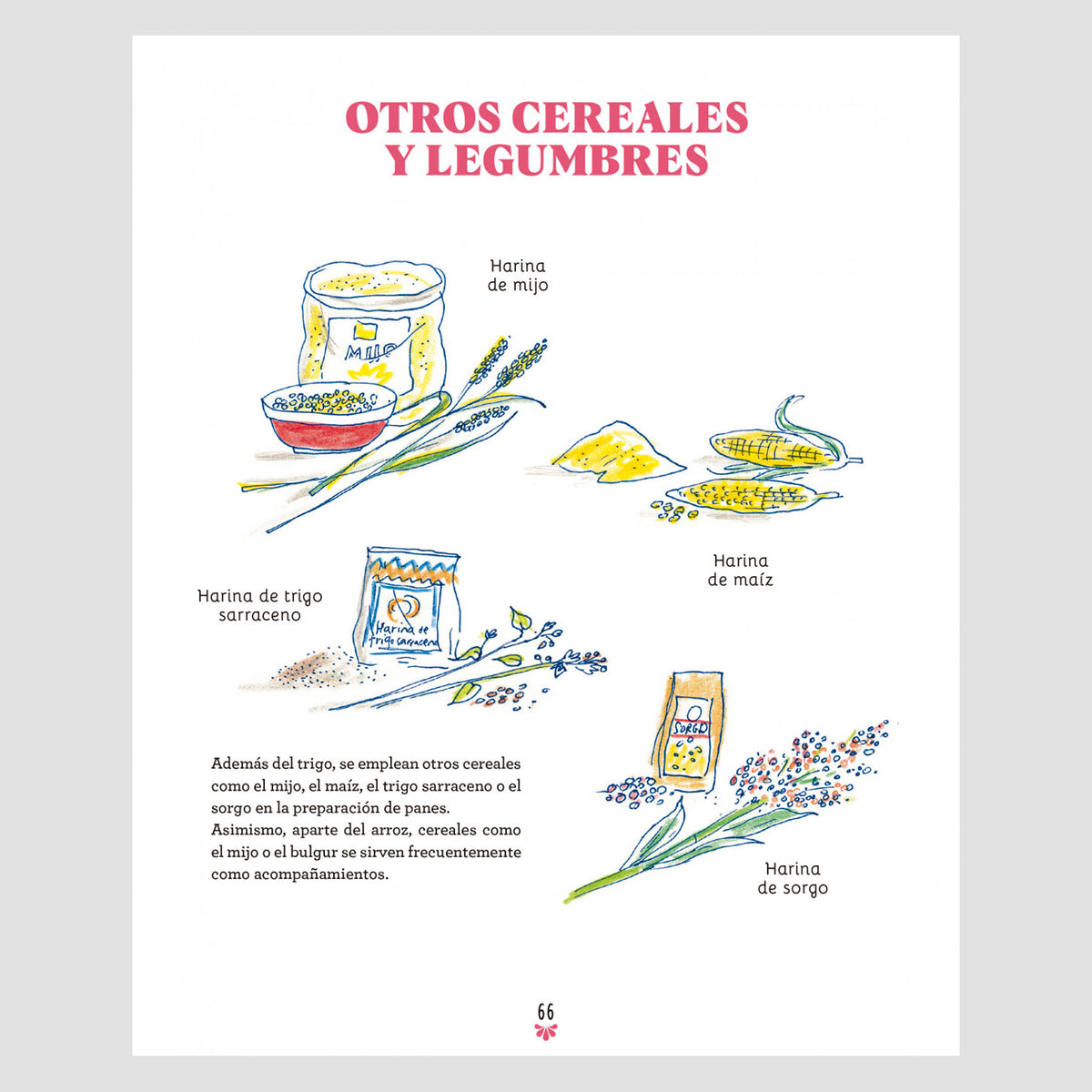 Libro - "La cocina india ilustrada" de Pankaj Sharma y Sandra Salmandjee