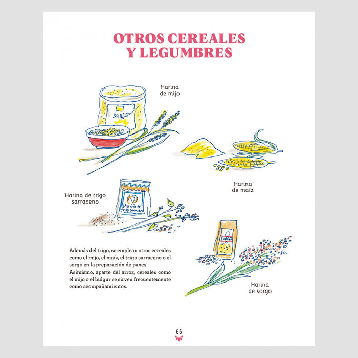 Libro - "La cocina india ilustrada" de Pankaj Sharma y Sandra Salmandjee