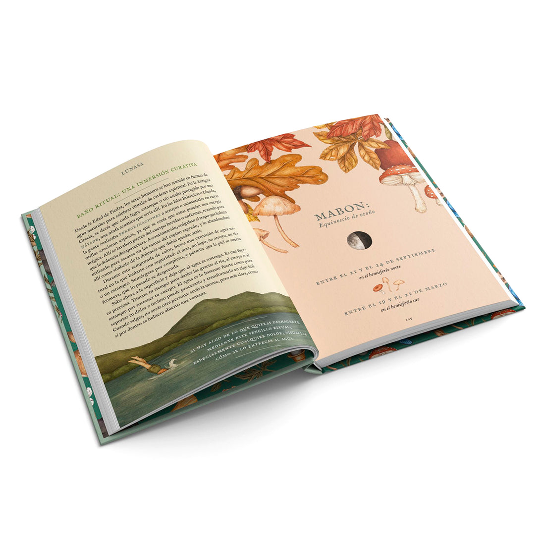 Libro - "La rueda del año" de Fiona Cook y Jessica Roux