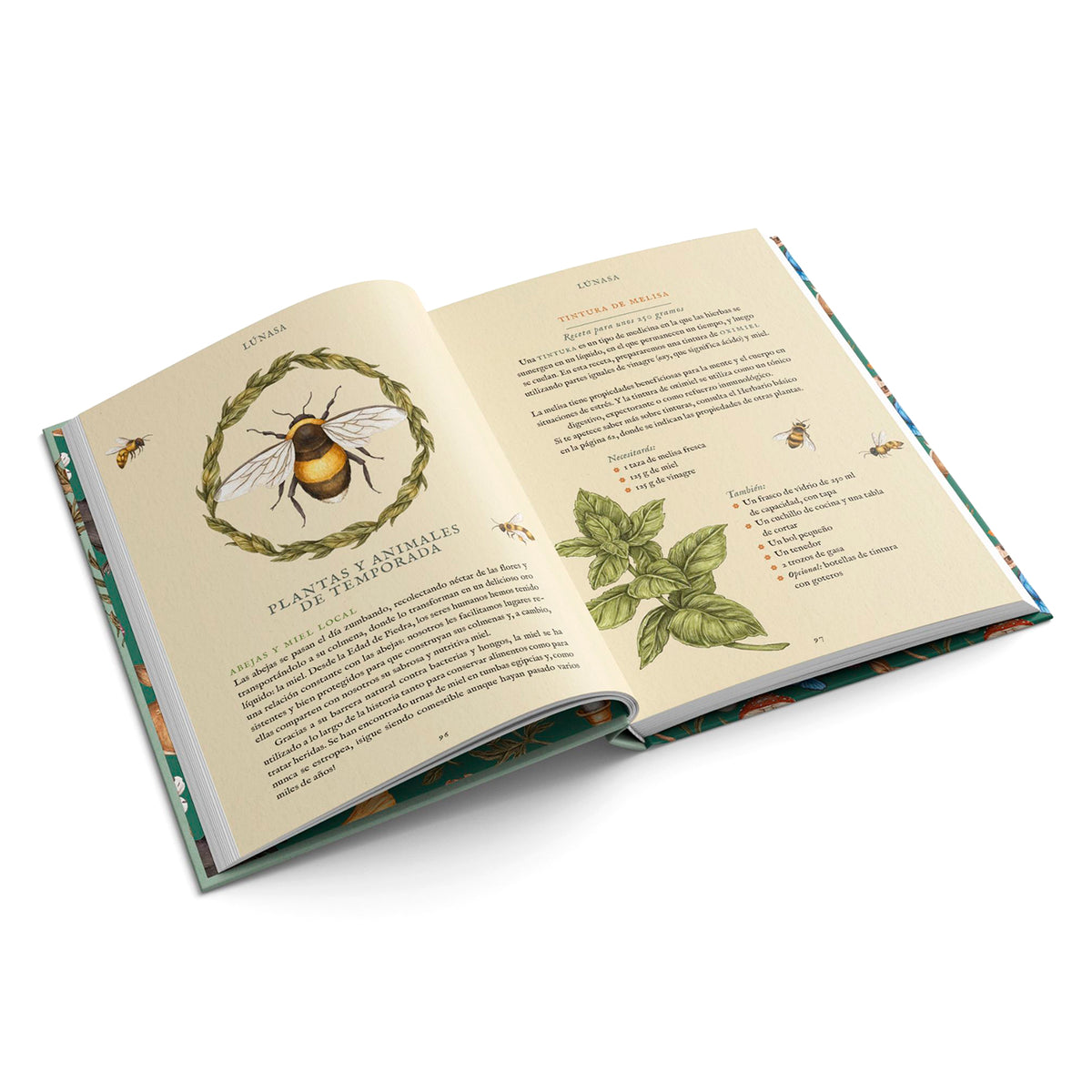 Libro - "La rueda del año" de Fiona Cook y Jessica Roux