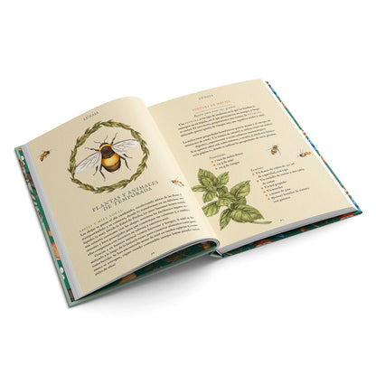 Libro - "La rueda del año" de Fiona Cook y Jessica Roux