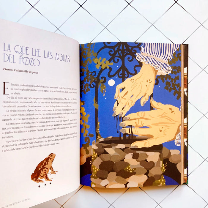 Libro - "La Vida Secreta de las Brujas" de Sofía Rhei y Ana Müshell