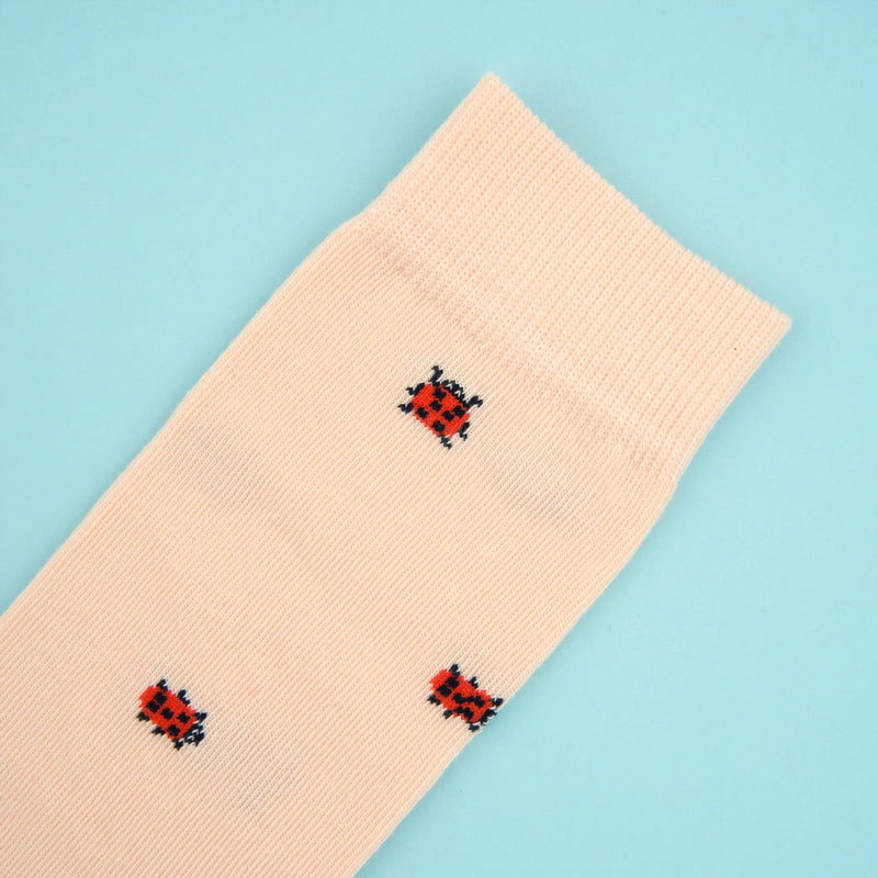 Calcetines - Mariquita 🐞