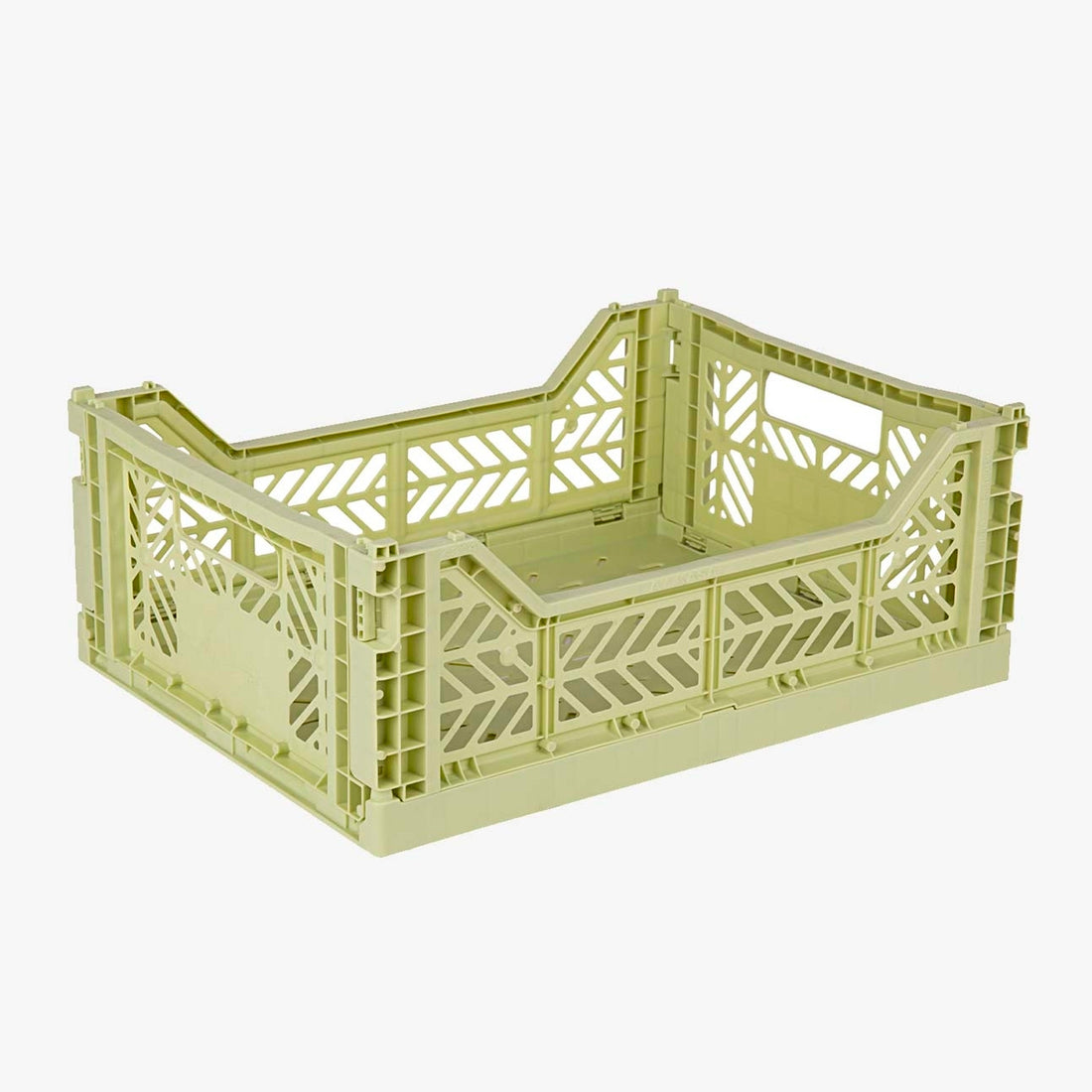 Caja plegable grande - Lime Cream