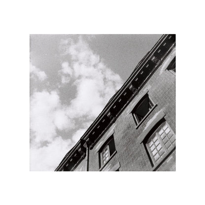 Película Lomography - Orca Black &amp; White 100 110
