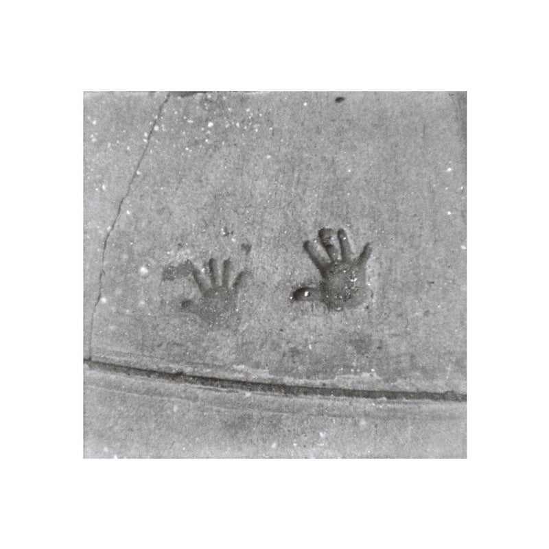 Película Lomography - Orca Black & White 100 110