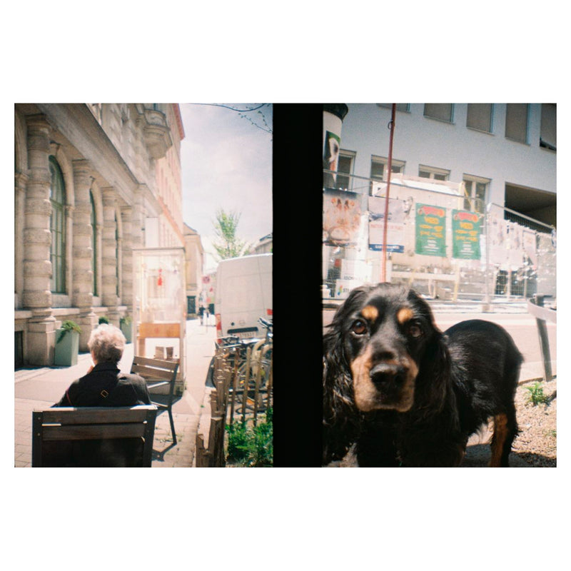 Cámara - Lomourette Picnic Edition