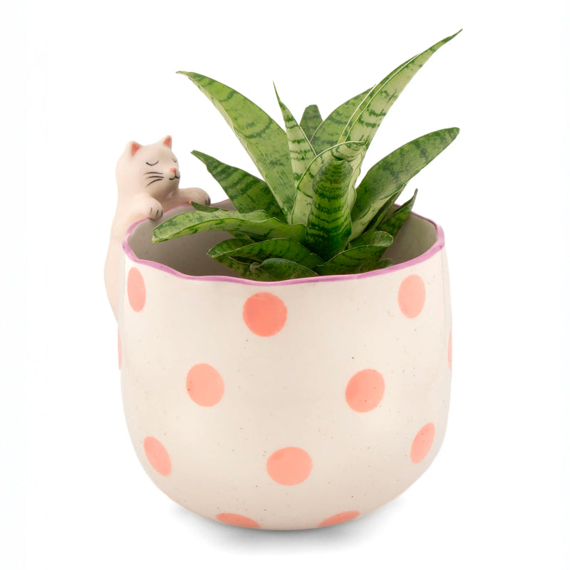 Macetero - Gato 🐱