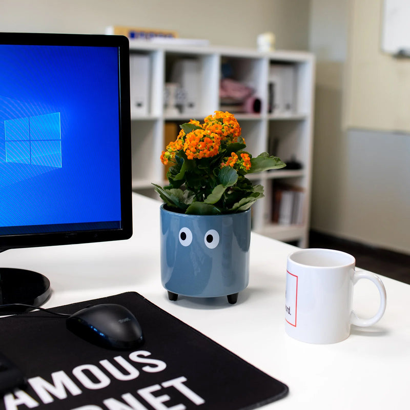 Macetero - Ojos Azul 👀