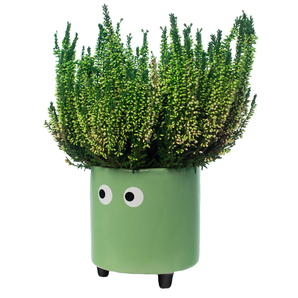 Macetero - Ojos Verde 👀