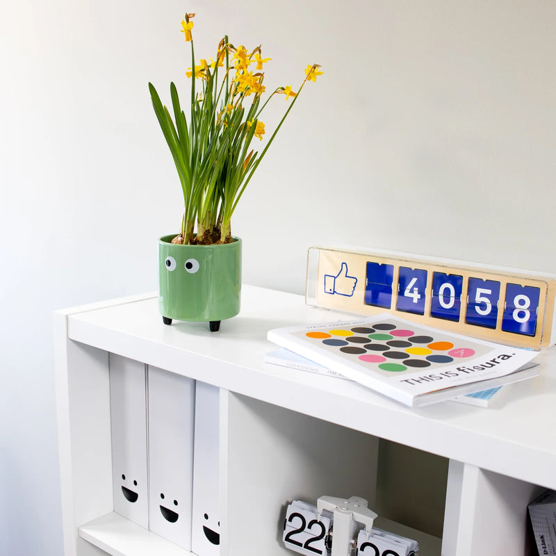 Macetero - Ojos Verde 👀