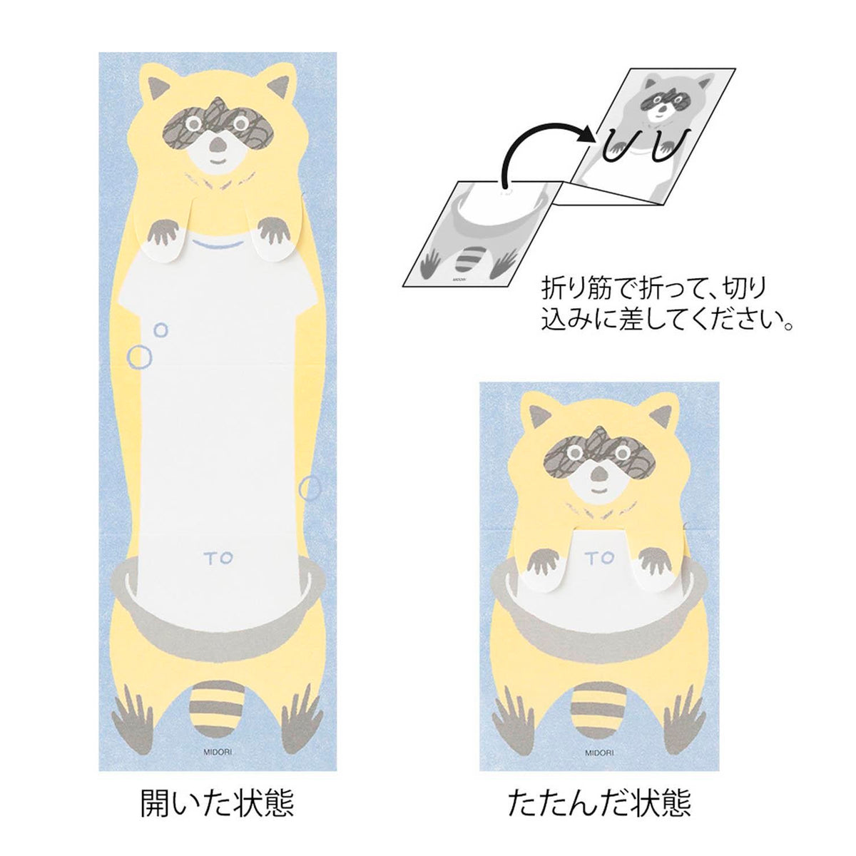 Set tarjetas extensibles Midori - Raccoon 🦝