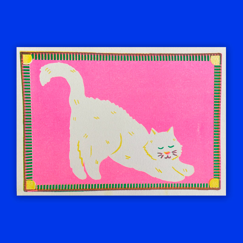 Print de Naomi Wilkinson A5 - "White Cat" 🐱