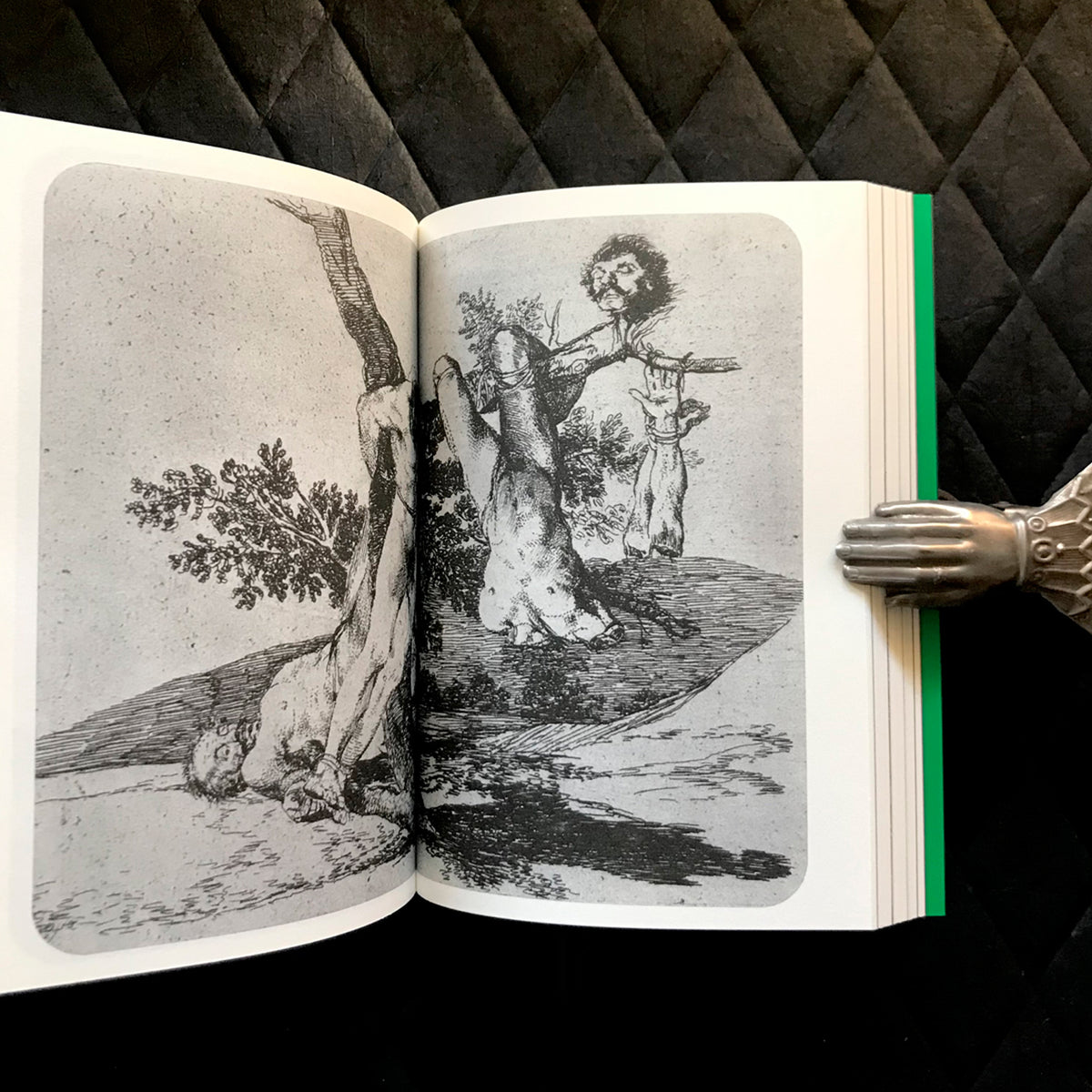 Libro - "Ojos Llenos de Árboles" de Pablo Gallo