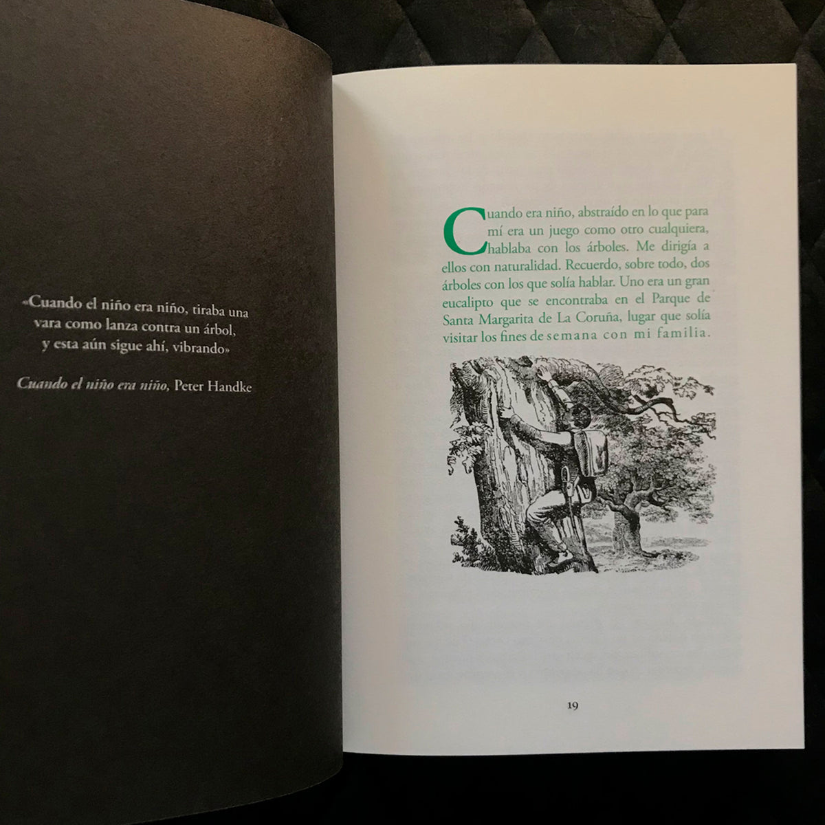 Libro - "Ojos Llenos de Árboles" de Pablo Gallo