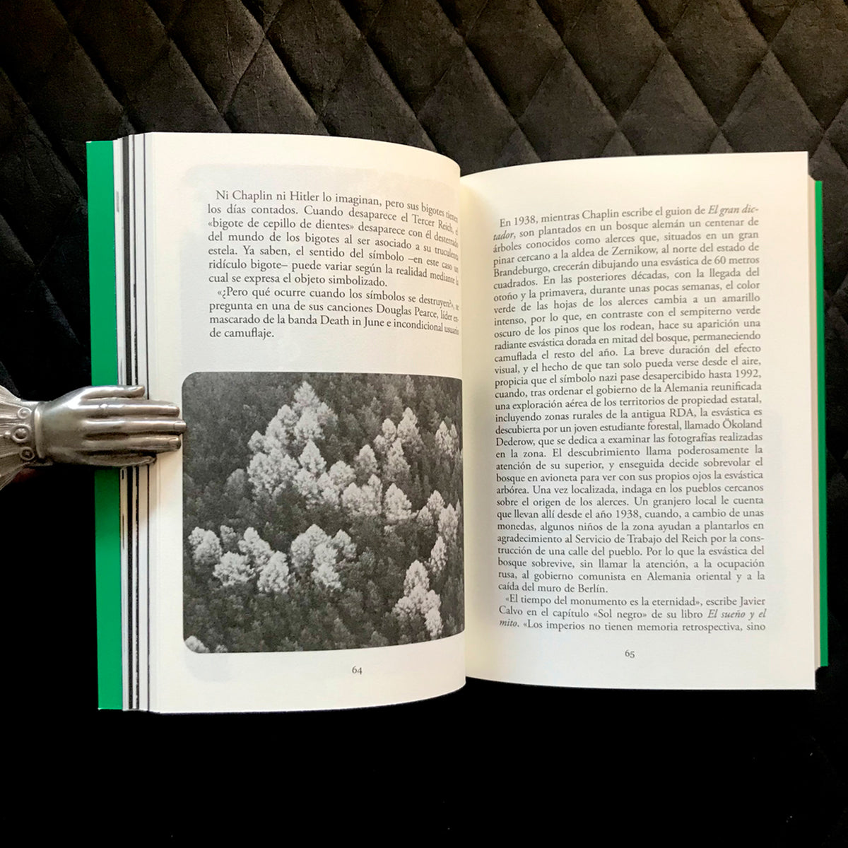 Libro - "Ojos Llenos de Árboles" de Pablo Gallo