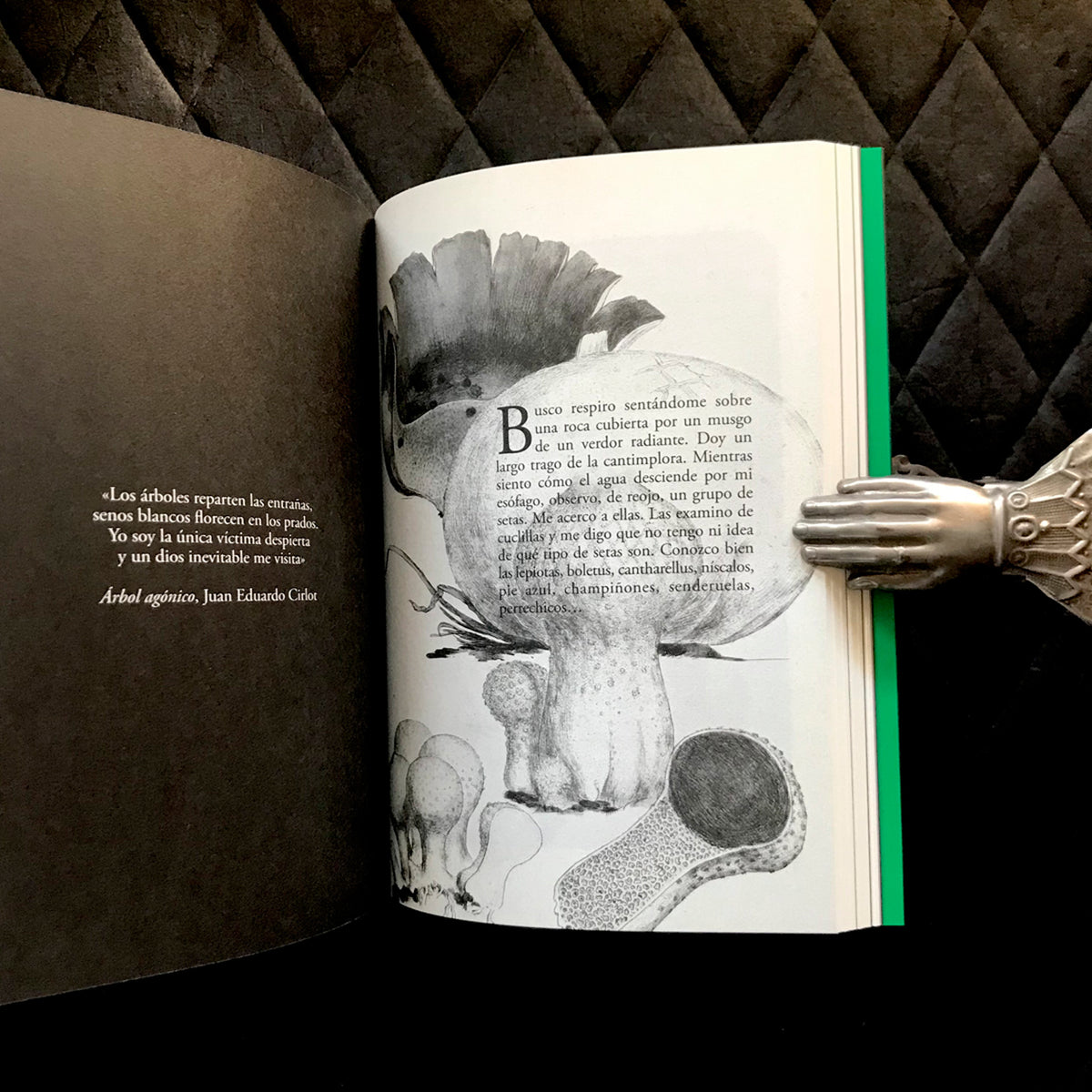 Libro - "Ojos Llenos de Árboles" de Pablo Gallo