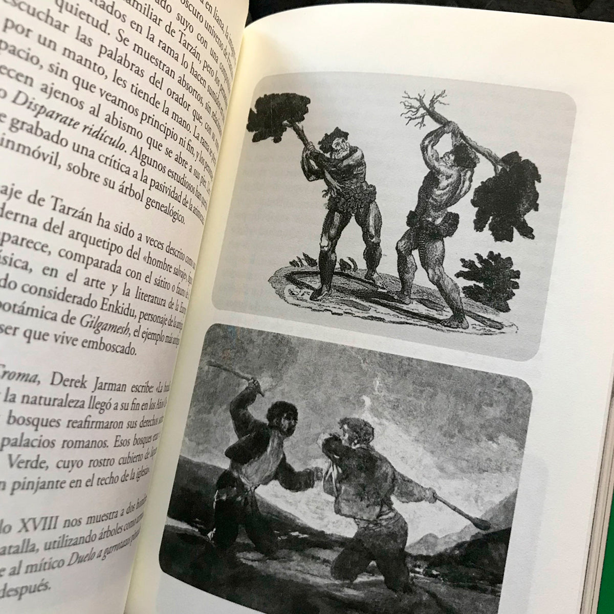 Libro - "Ojos Llenos de Árboles" de Pablo Gallo