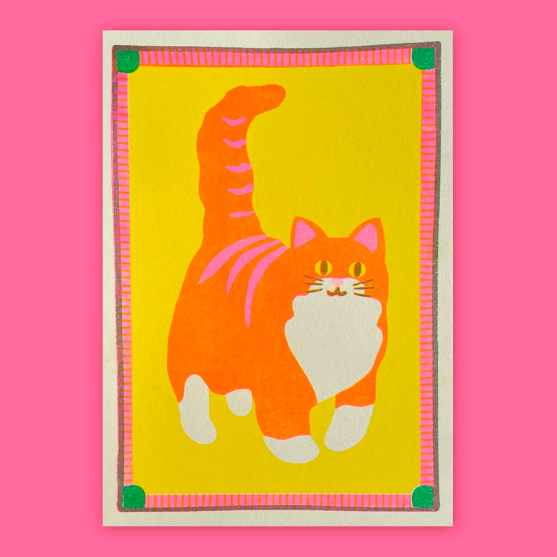 Print de Naomi Wilkinson A5 - "Orange Cat" 🐱