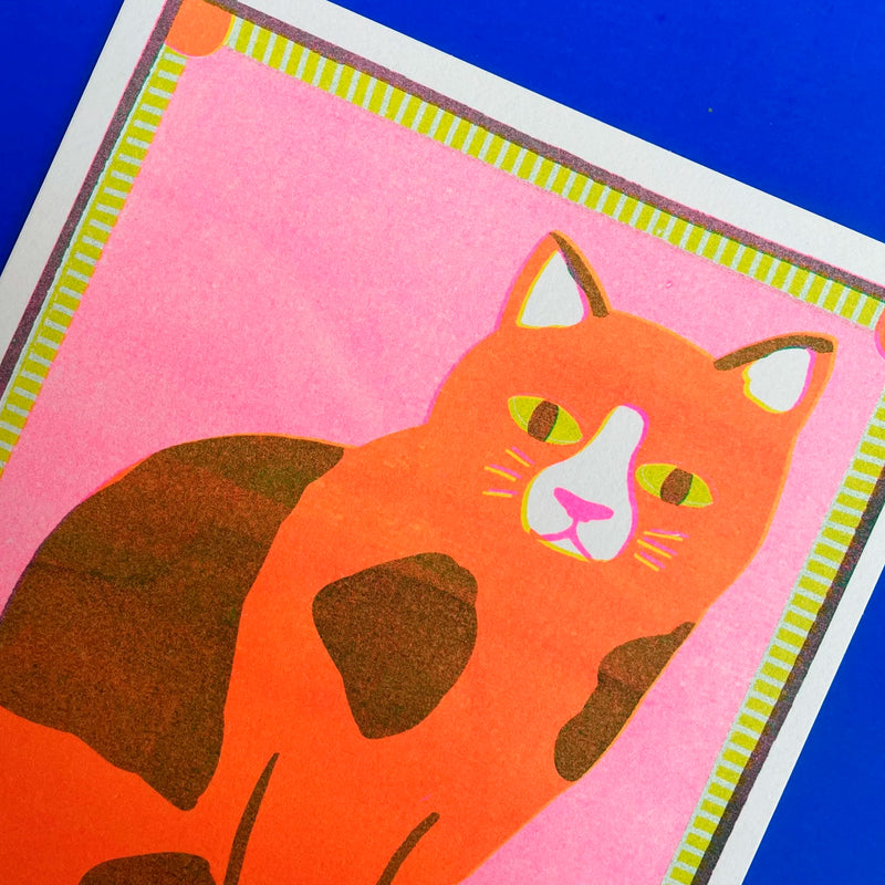 Print de Naomi Wilkinson A5 - "Orange Patchy Cat" 🐱