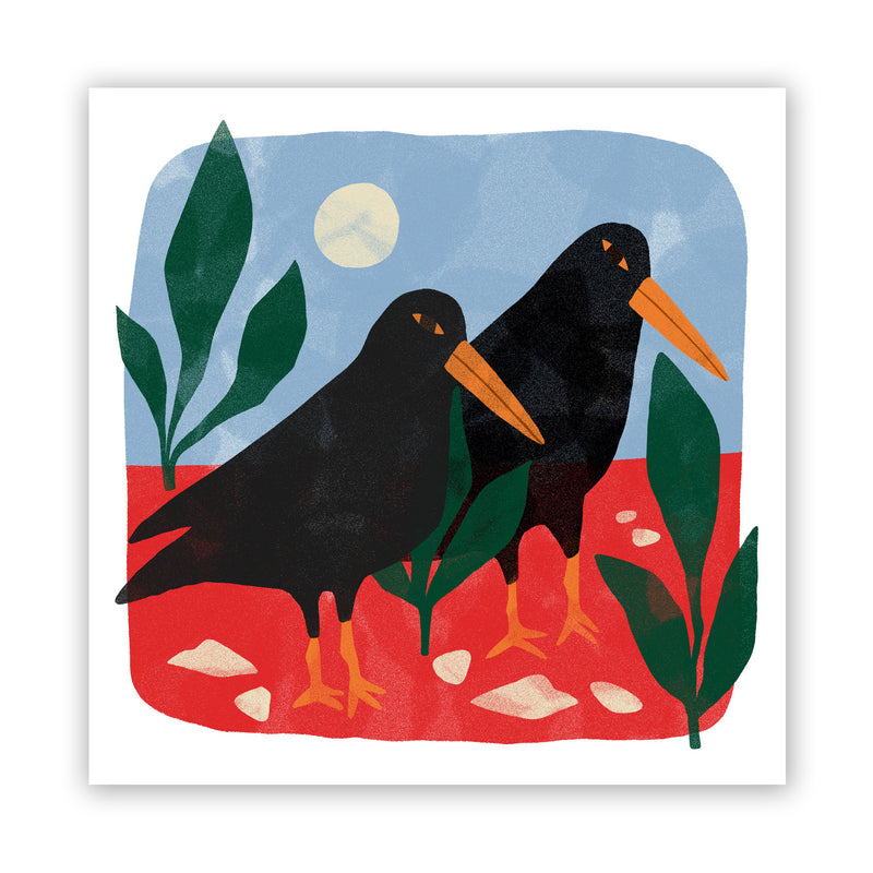 Print de Agustina Shuan - "Oystercatcher"