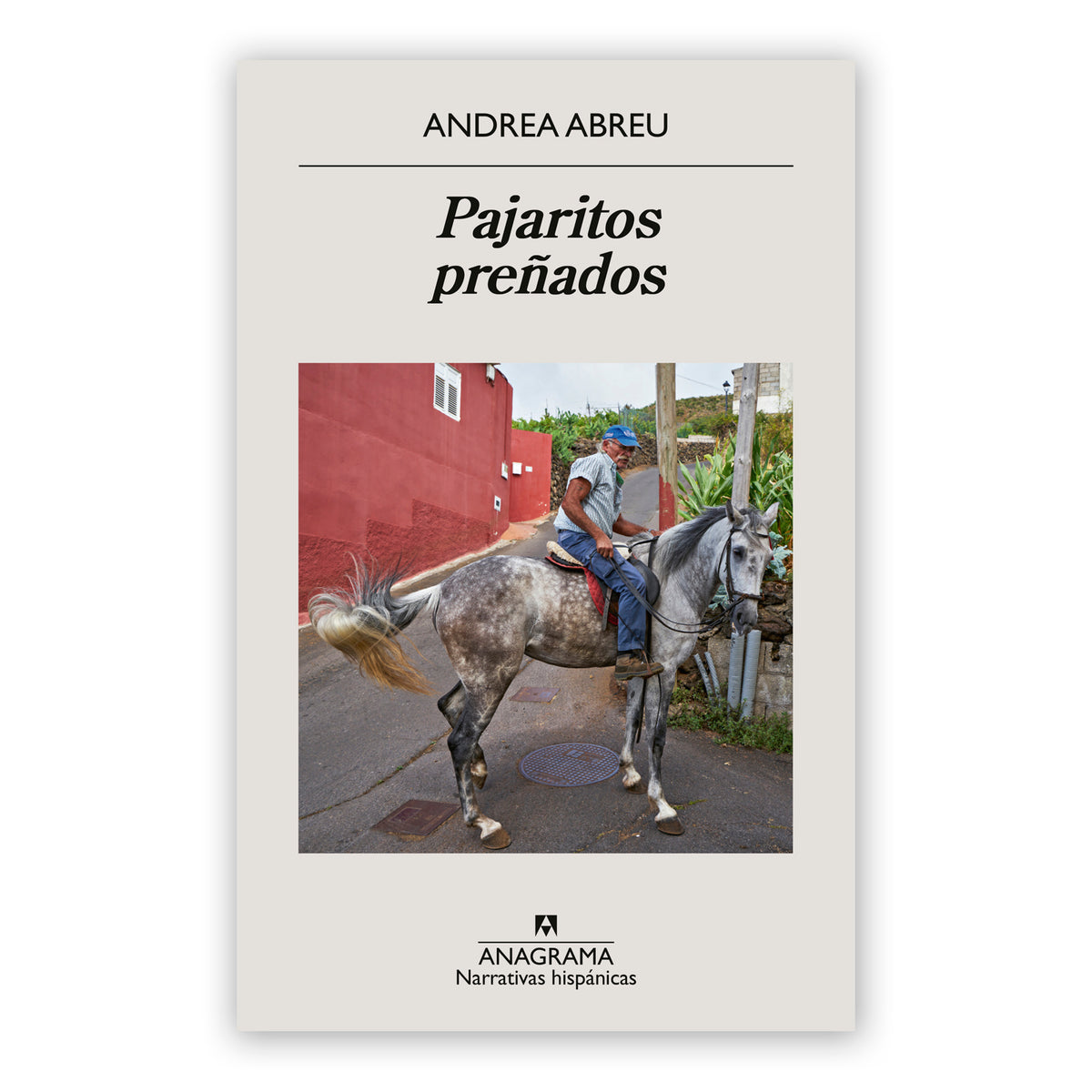 Libro - "Pajaritos preñados" de Andrea Abreu