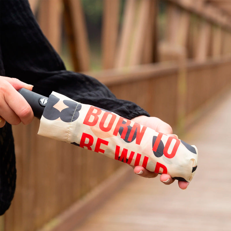 Paraguas - "Born to be Wild" 🐆