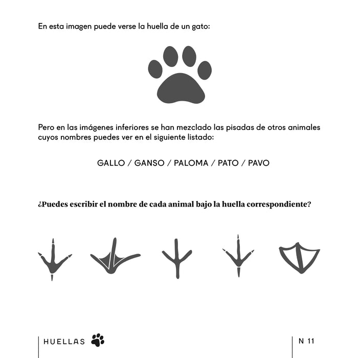 Pasatiempos - Pasatiempos para amantes de los gatos 🐱