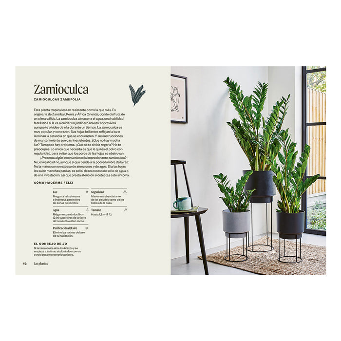 Libro - "Plantas Inmortales" de Jo Lambell