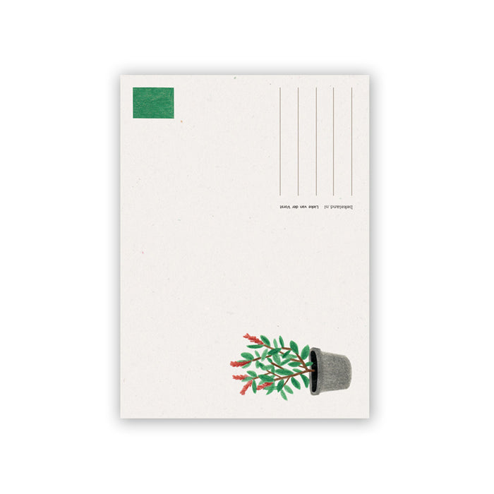 Postal - "Bermbloem" de Liekeland