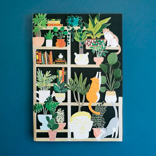 Postal - Estantería y Gatos 🐱