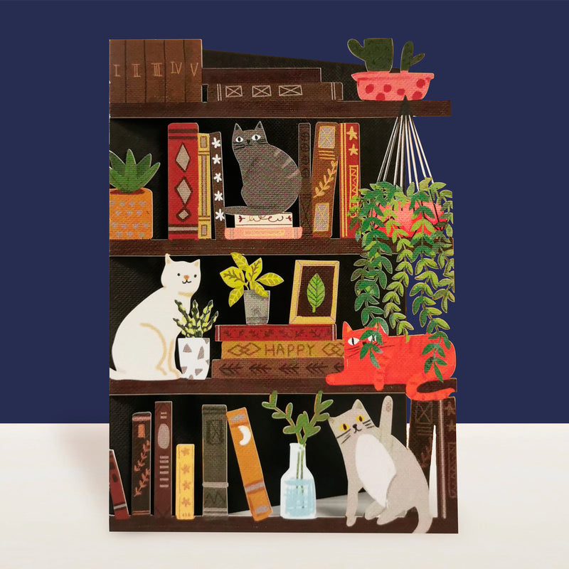 Postal - Estantería y Gatos 🐱