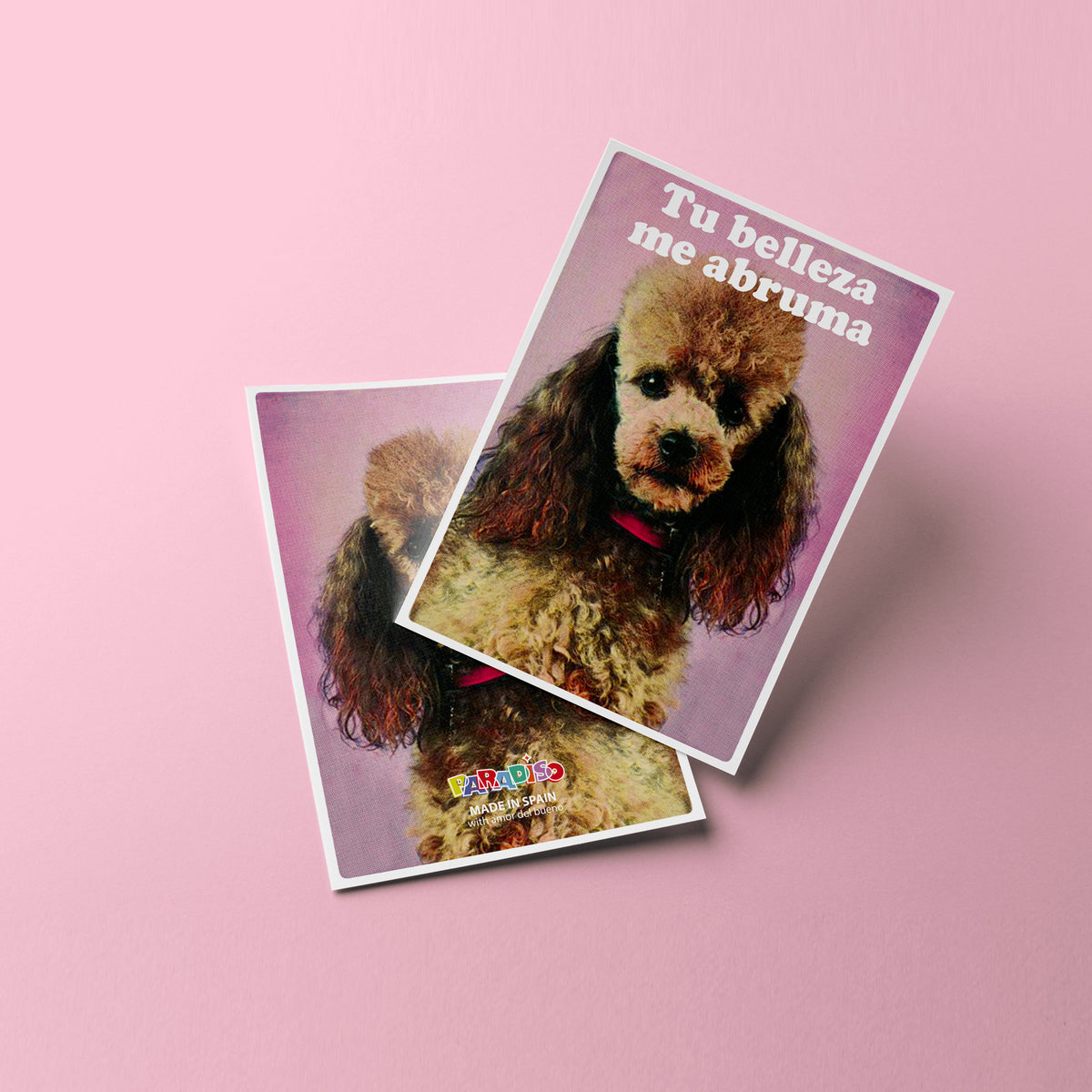 Postal - "Tu belleza me abruma"