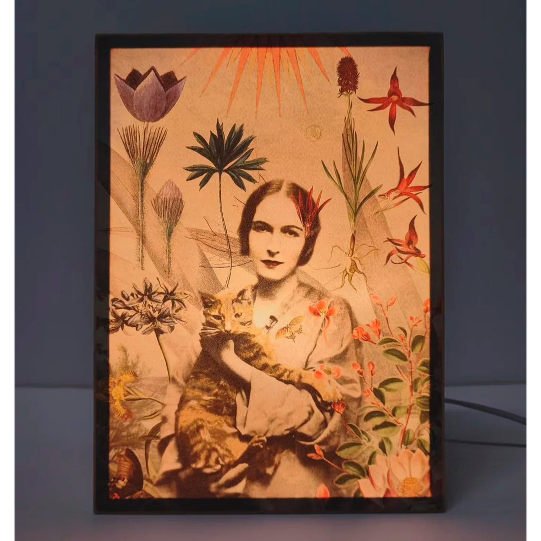 Caja de luz A4 - "Primavera en el Jardín" de El Lucernario