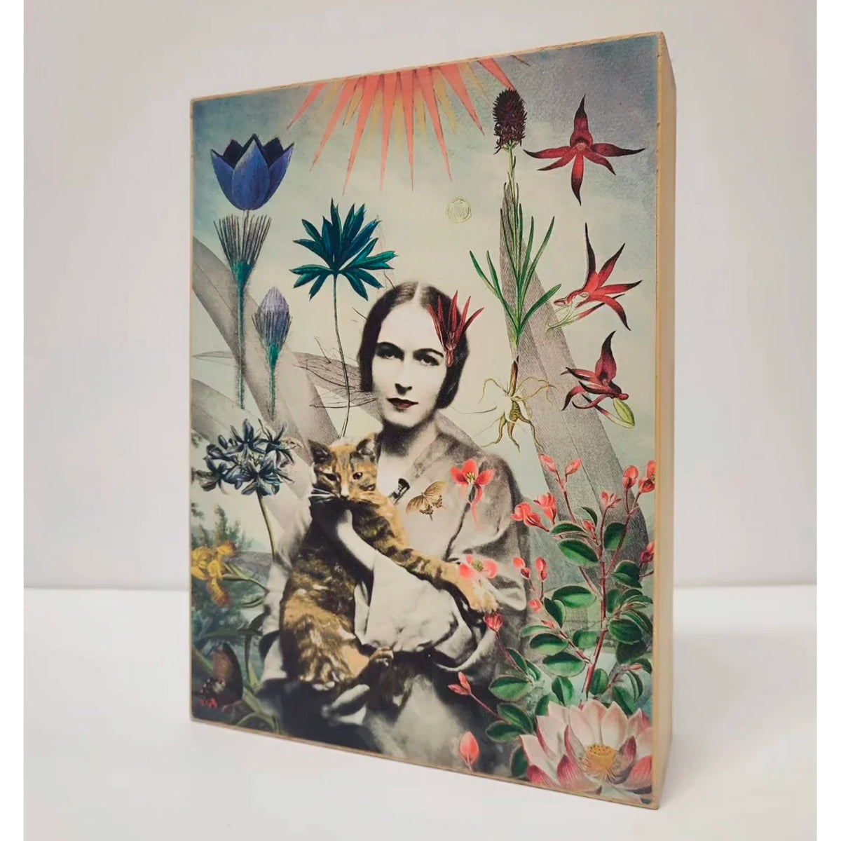 Caja de luz A4 - "Primavera en el Jardín" de El Lucernario