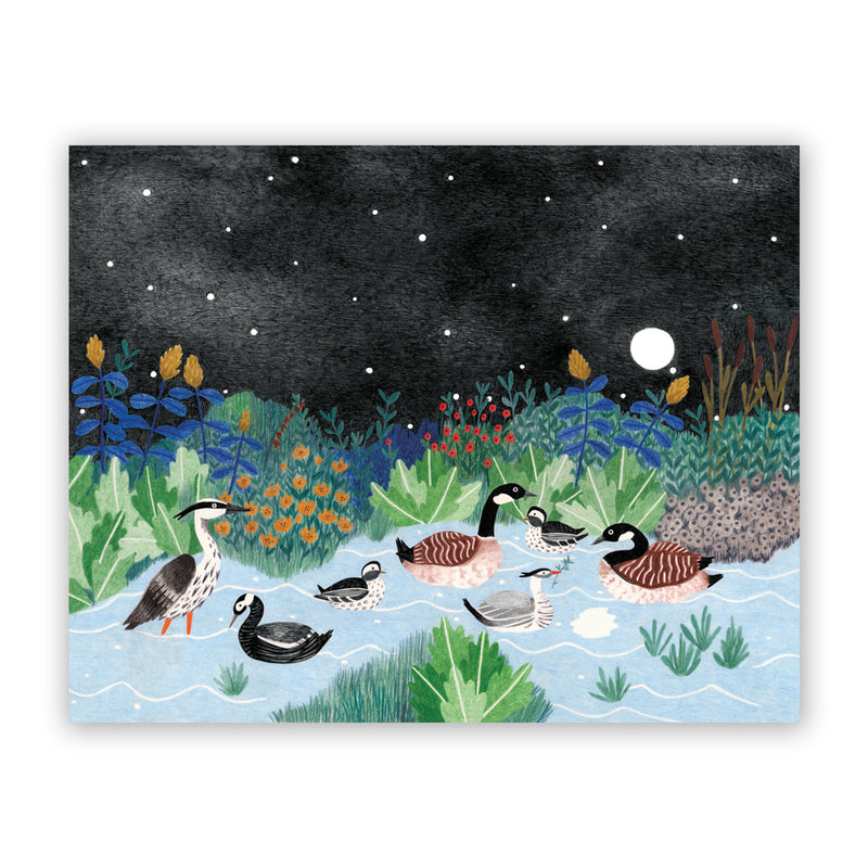 Print de Liekeland - "Eendenmeer"