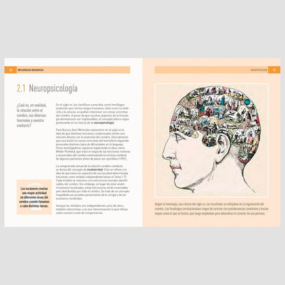 Libro - "Psicología, 100 conceptos" de Christopher Sterling y Daniel Frings