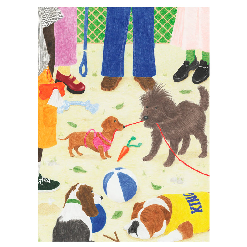 Puzzle - Sortir le chien 🐶