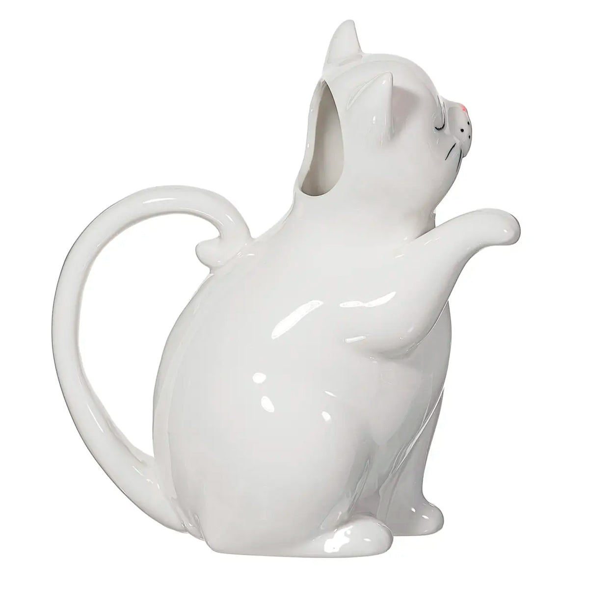 Regadera - Gato