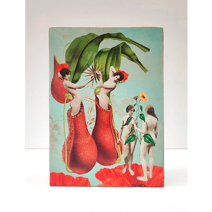 Caja de luz A4 - "Renacimiento" de El Lucernario