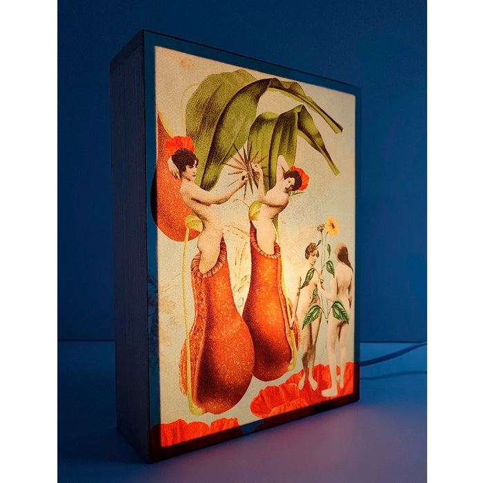 Caja de luz A4 - "Renacimiento" de El Lucernario