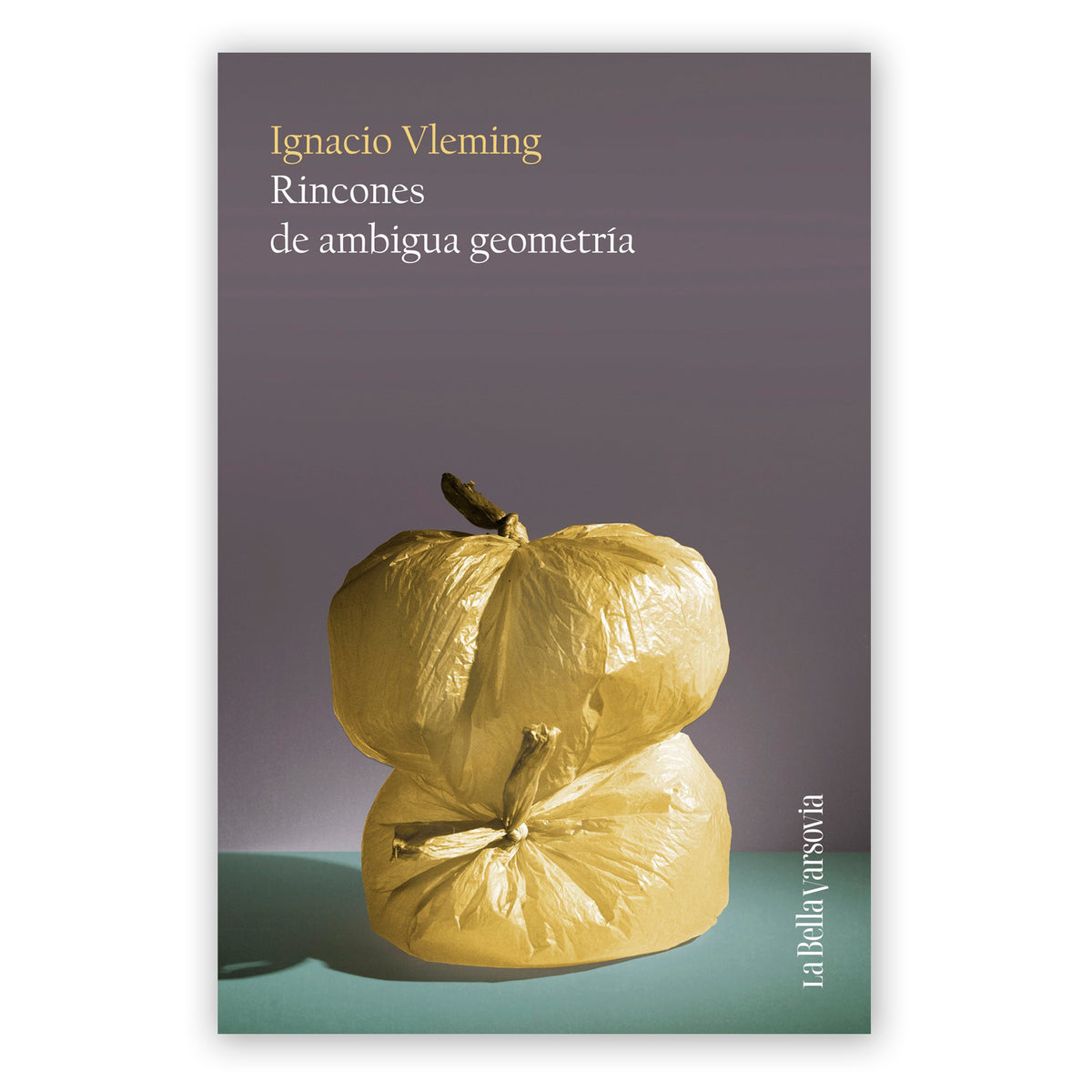 Libro - "Rincones de ambigua geometría" de Ignacio Vleming