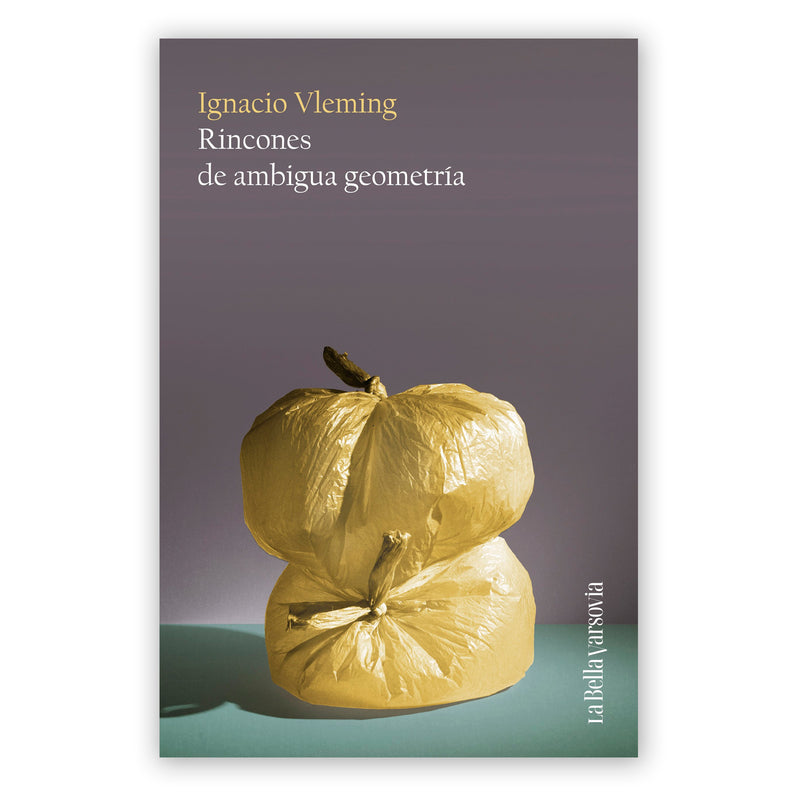 Libro - "Rincones de ambigua geometría" de Ignacio Vleming