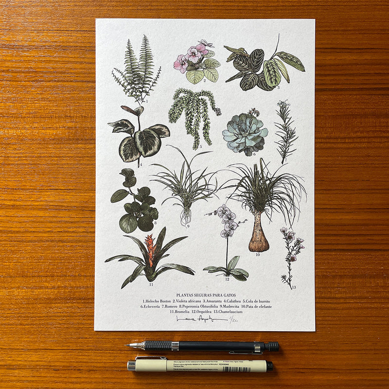 Print de Laura Agustí A4 - "Safe Plants"