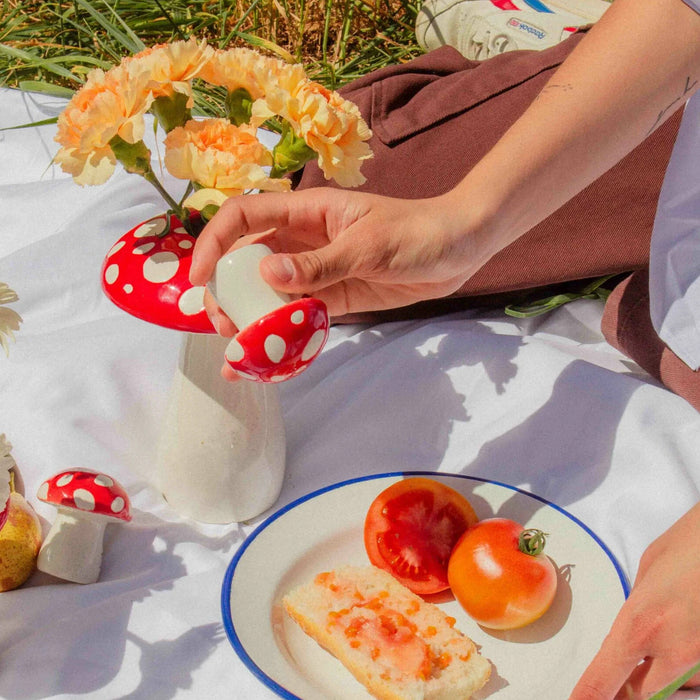 Salero y pimentero DOIY - Amanita 🍄