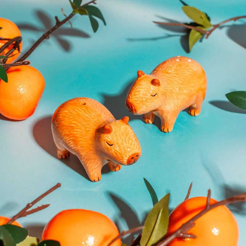 Salero y pimentero - Capybara